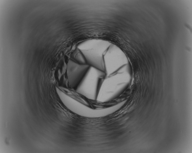 X0000091451202200709131709