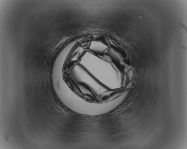 X0000091451206200709131709
