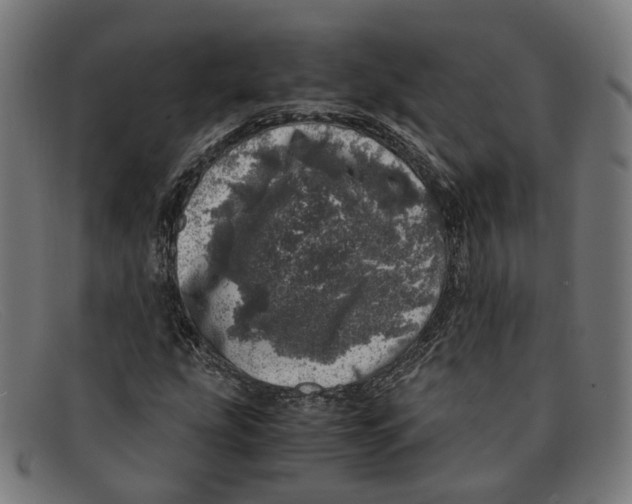 X0000091451207200709131709