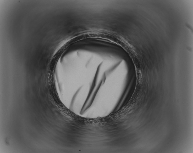 X0000091451208200709131709