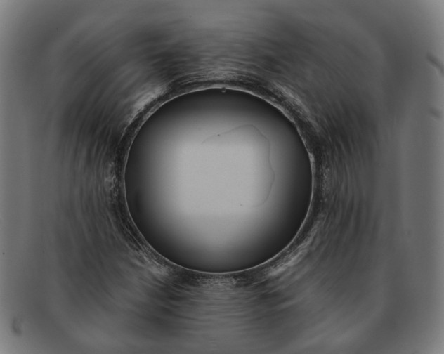 X0000091451210200709131709