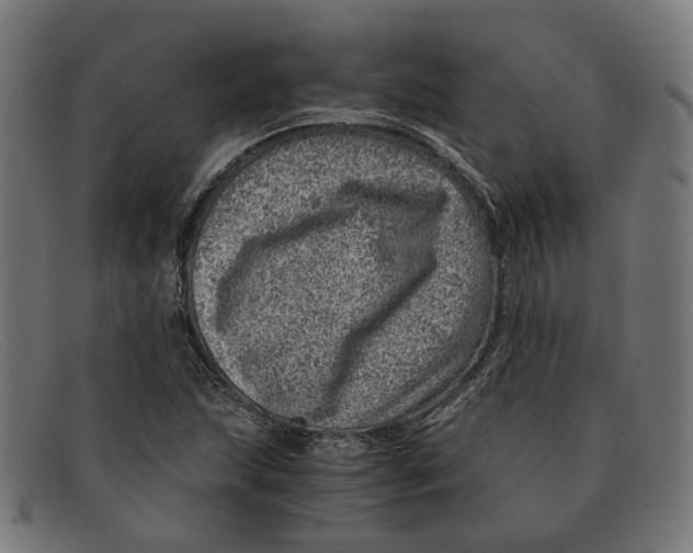 X0000091451215200709131709