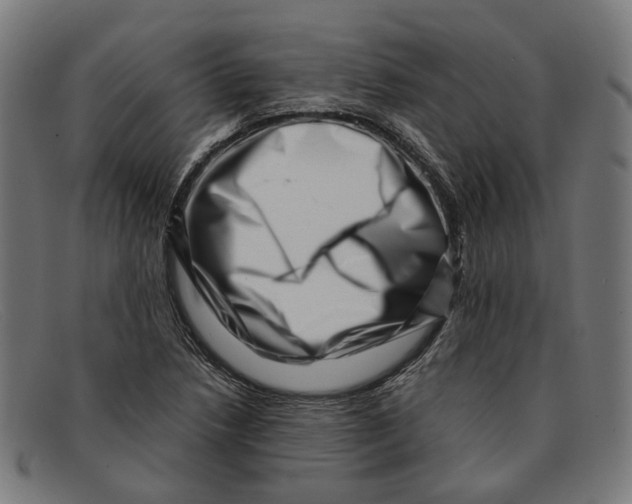 X0000091451218200709131709
