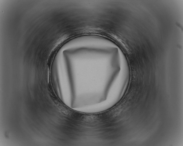 X0000091451219200709131709