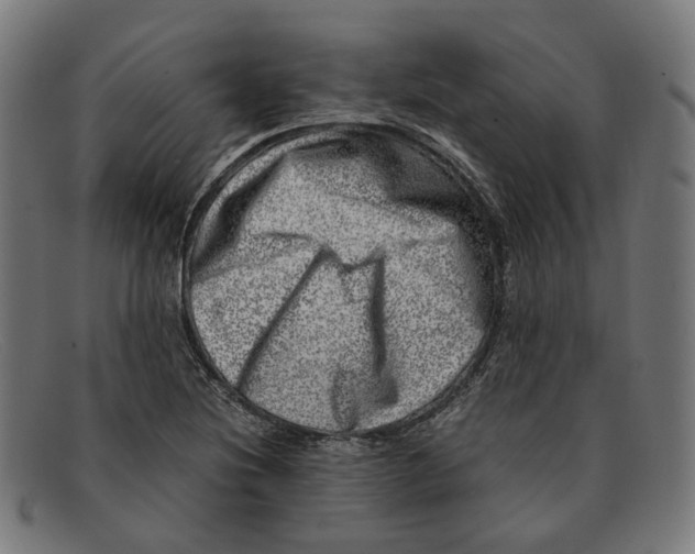 X0000091451220200709131709