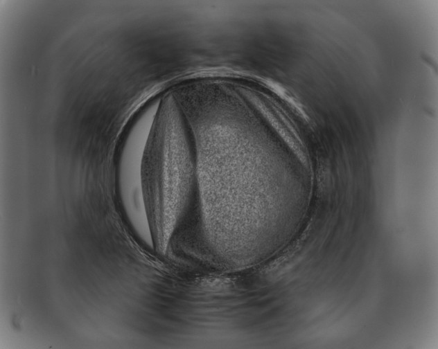 X0000091451221200709131709