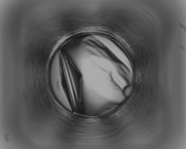 X0000091451224200709131709