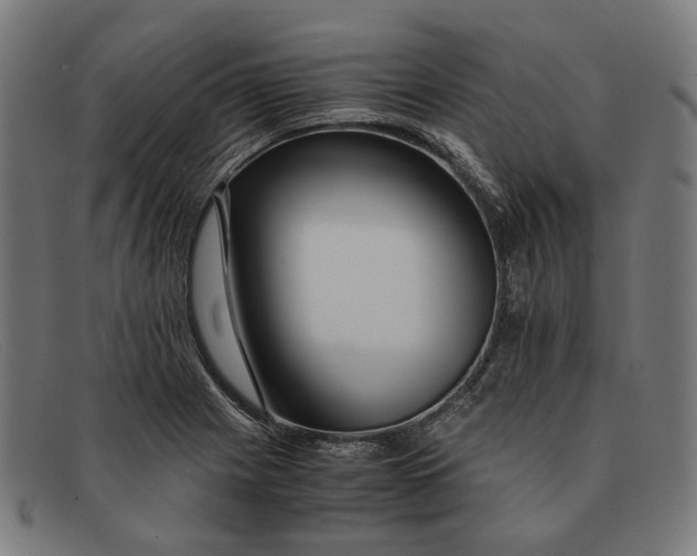 X0000091451225200709131709