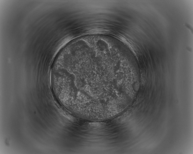 X0000091451227200709131709