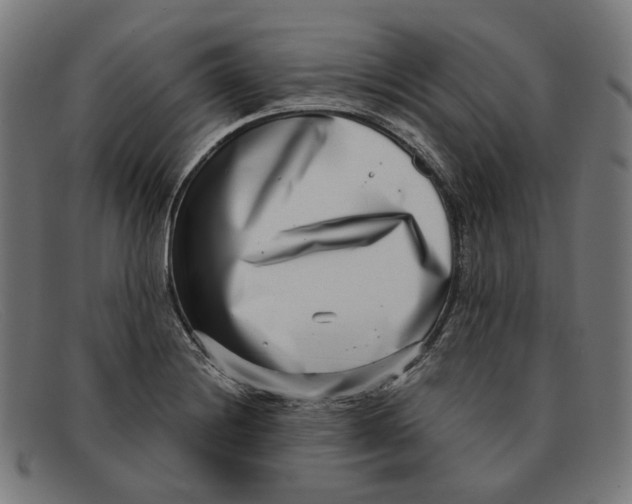X0000091451228200709131709