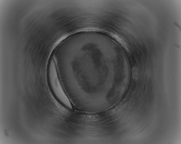 X0000091451229200709131709