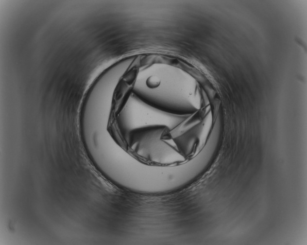 X0000091451230200709131709