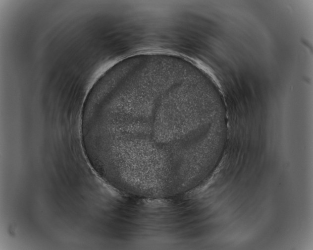 X0000091451231200709131709