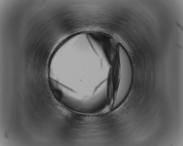 X0000091451232200709131709