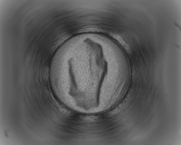 X0000091451233200709131709