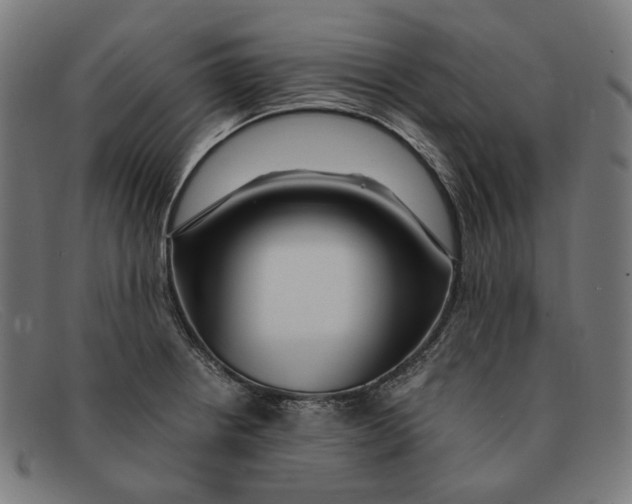 X0000091451234200709131709