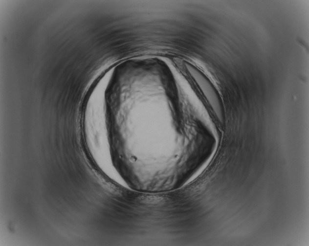 X0000091451235200709131709