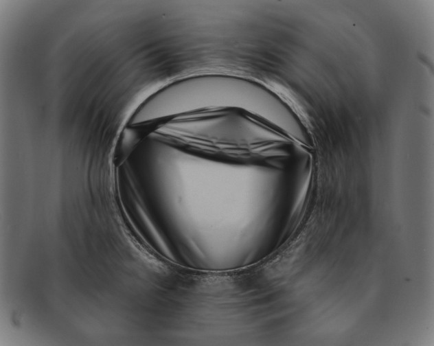 X0000091451238200709131709