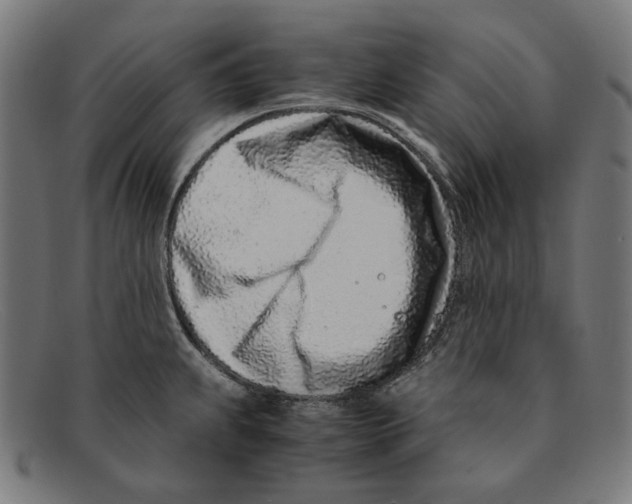 X0000091451239200709131709