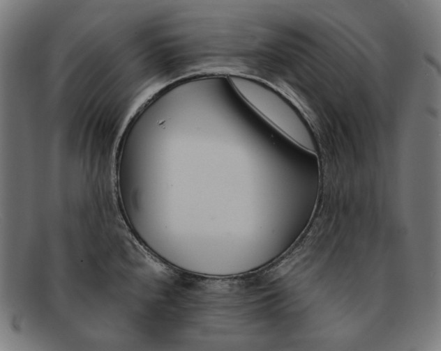 X0000091451240200709131709