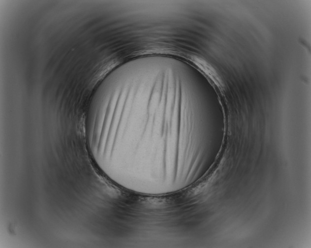 X0000091451241200709131709