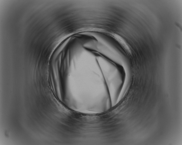X0000091451244200709131709