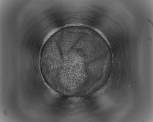 X0000091451245200709131709