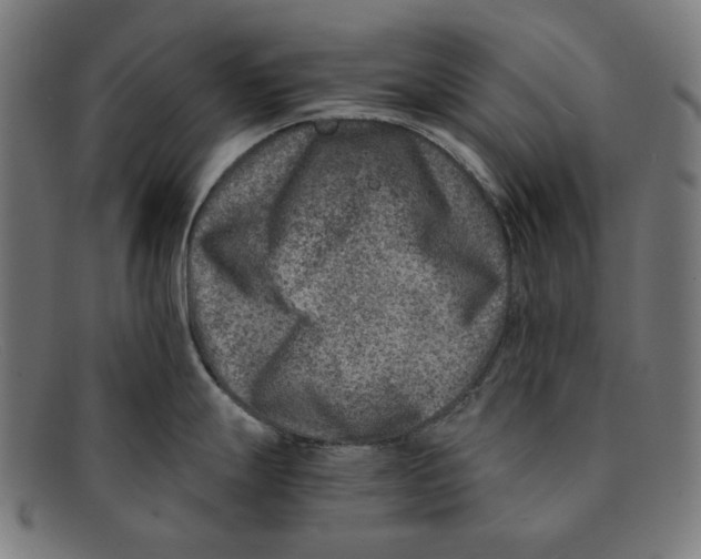 X0000091451247200709131709