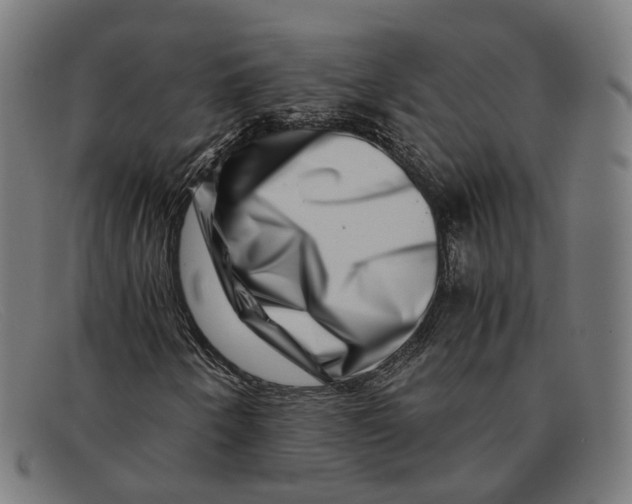 X0000091451250200709131709