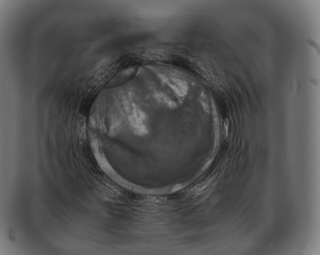 X0000091451251200709131709