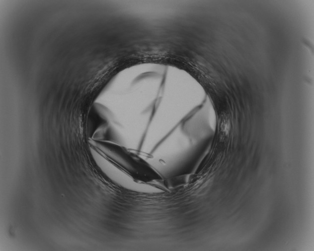 X0000091451252200709131709