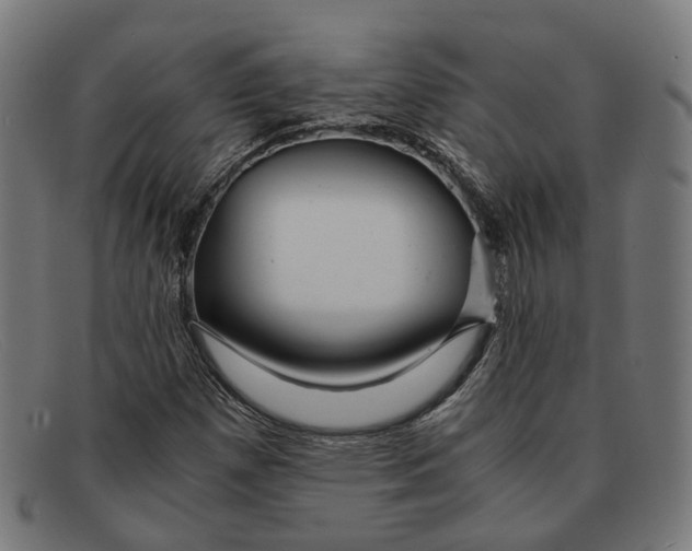 X0000091451257200709131709