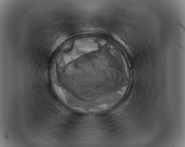 X0000091451259200709131709