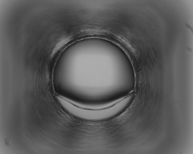 X0000091451261200709131709