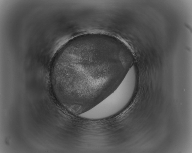 X0000091451263200709131709