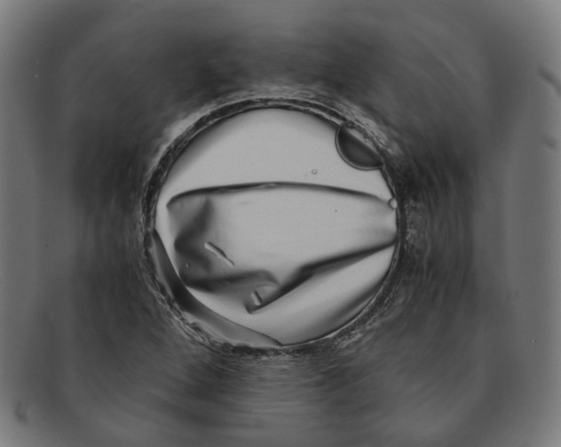X0000091451264200709131709