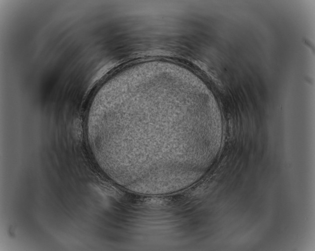 X0000091451266200709131709