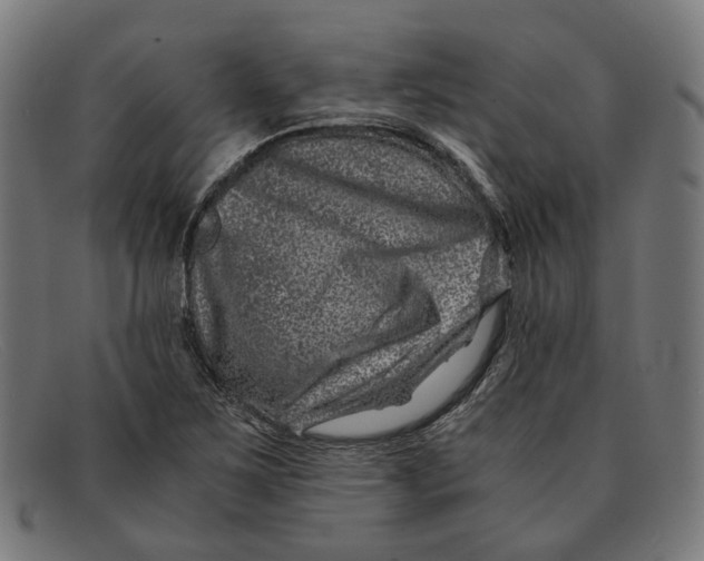 X0000091451267200709131709