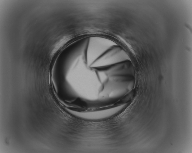 X0000091451269200709131709