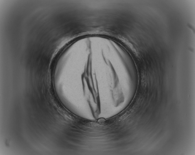X0000091451270200709131709