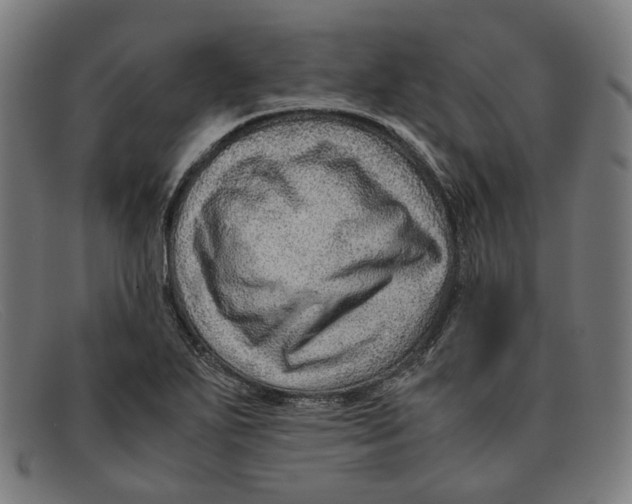 X0000091451271200709131709