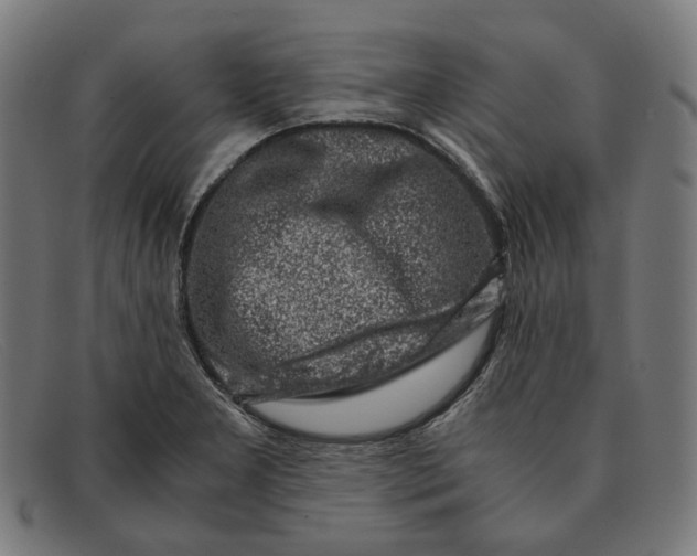 X0000091451277200709131708
