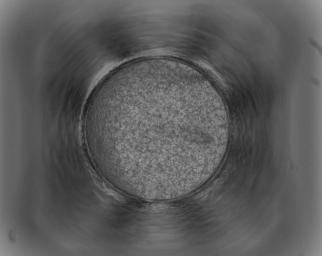 X0000091451278200709131708