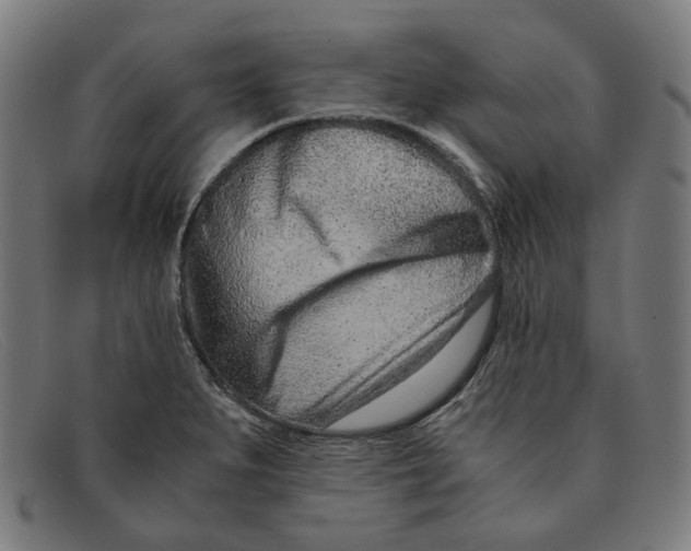 X0000091451279200709131708