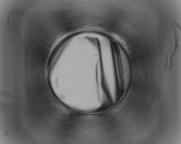 X0000091451280200709131708