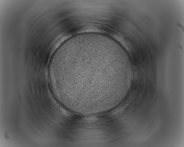X0000091451282200709131708