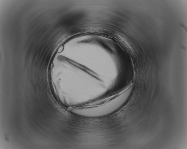 X0000091451283200709131708