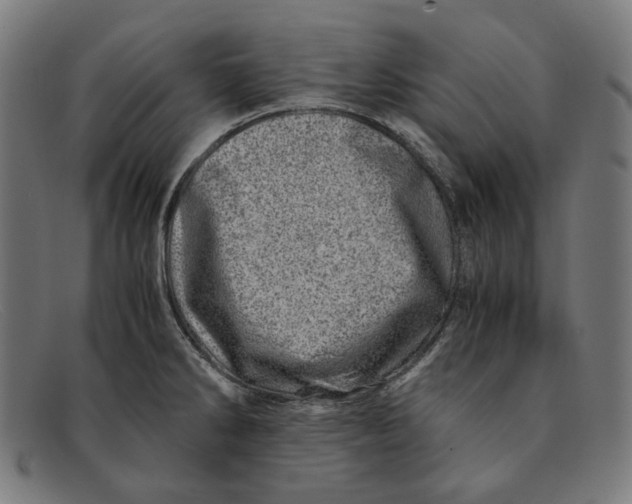 X0000091451286200709131708