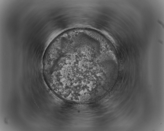 X0000091451287200709131708