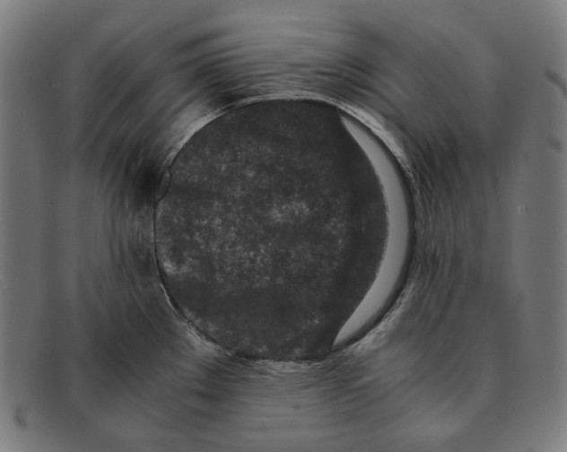 X0000091451289200709131708